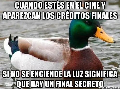 consejos
