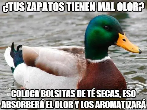 consejos