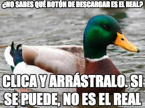 pato consejero