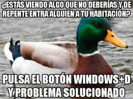 Pato consejero al ataque