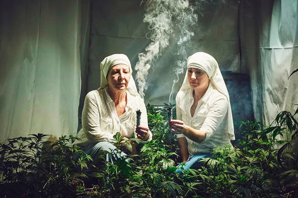 Las monjas que cultivan marihuana
