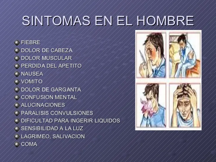 Sintomas de la RAbia Sintomas de la RAbia