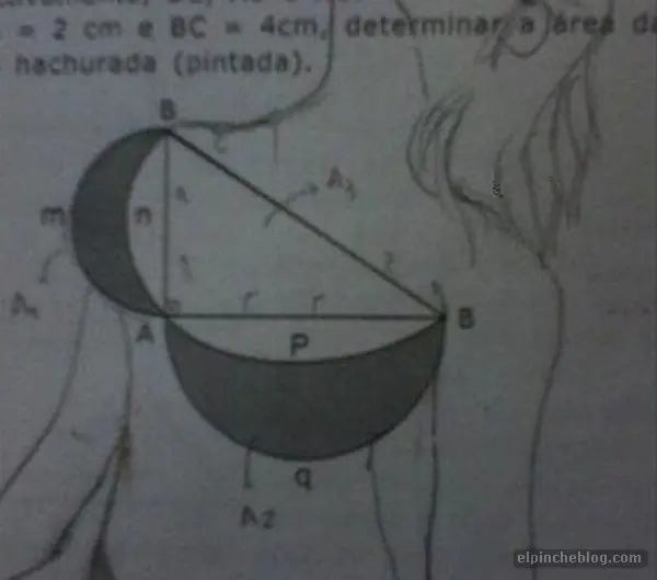 examen