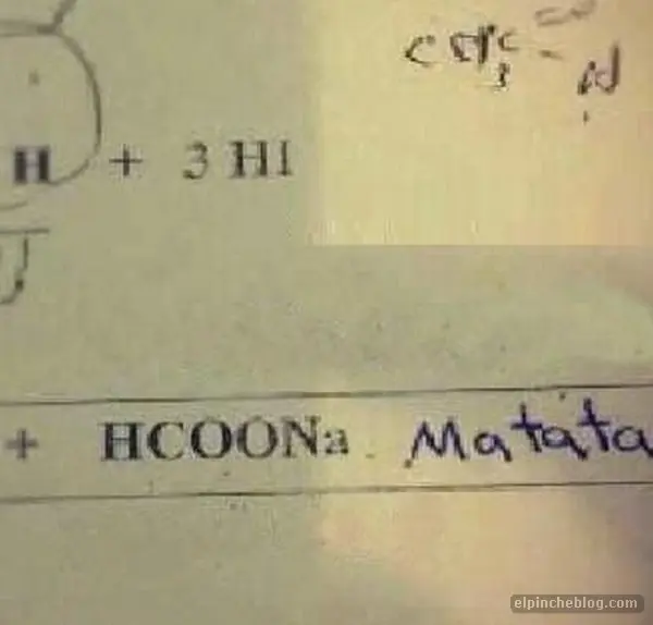 Las 25 respuestas de examenes! Reprobaron pero con estilo
