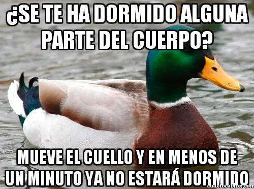 consejos