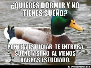 Pato consejero al ataque