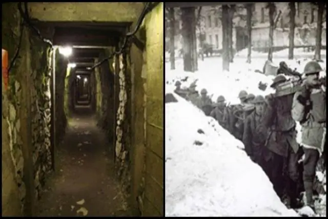 arras arras