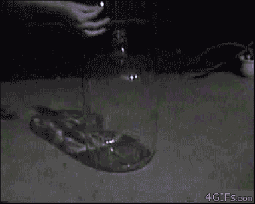 en gifs