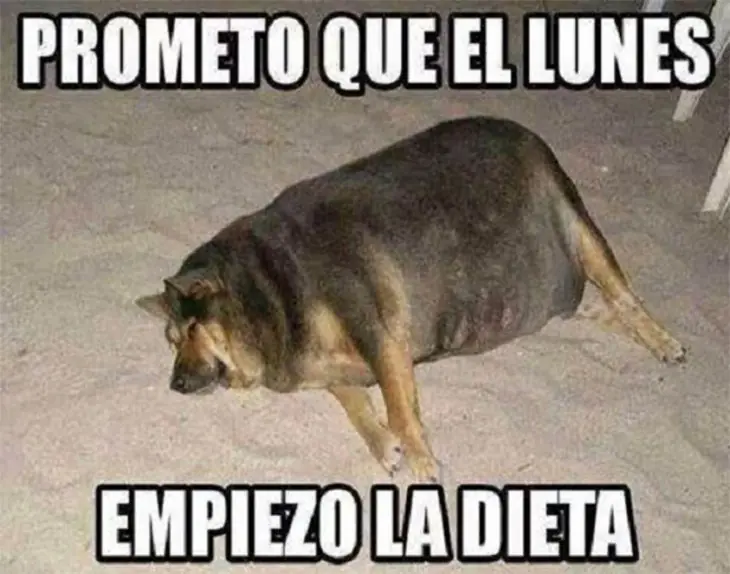salud
