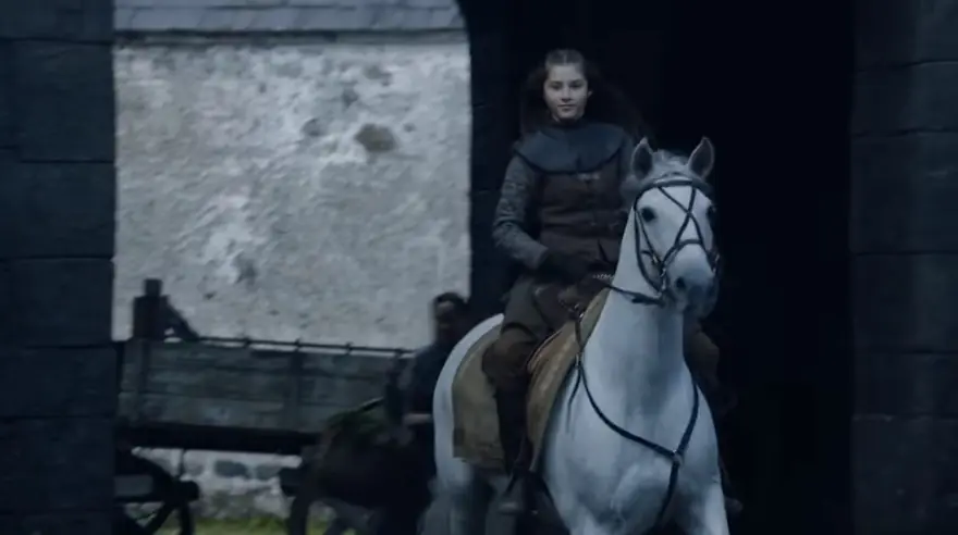 daenerys targaryen daenerys targaryen