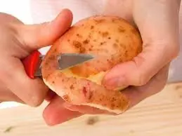 zanahoria