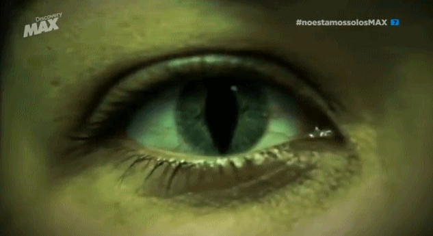 iluminatis