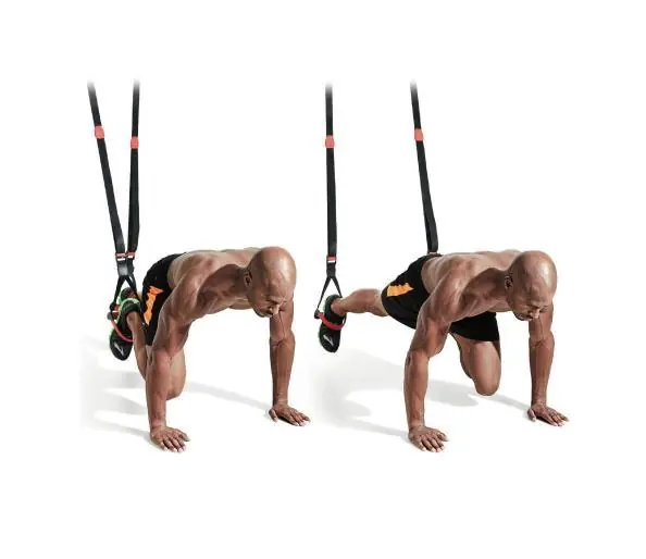 abdominales