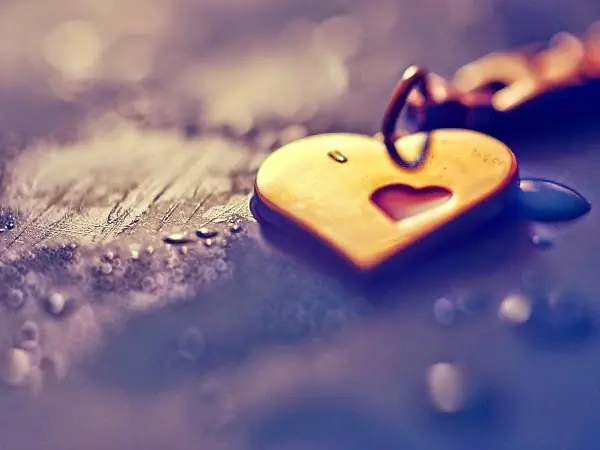 amor amor