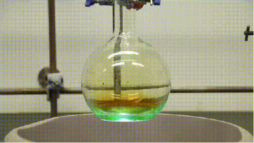 ciencia