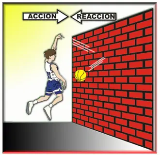 reaccion
