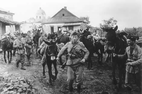 Alemania Nazi