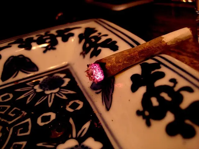 El consumo regular de marihuana, perjudicial para el cerebro