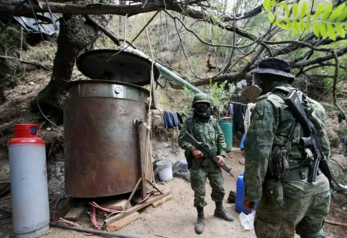 México: en 2015, el crimen organizado mató a 20.525 personas
