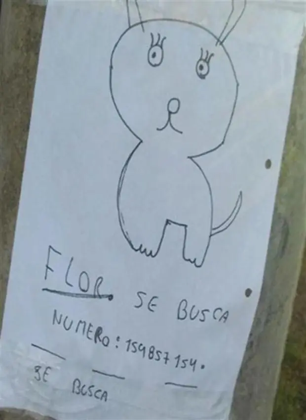 Perdieron a su perra y la buscan con un dibujo