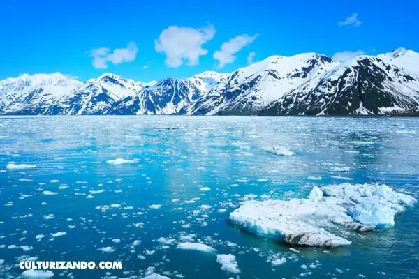¿Quién descubrió Alaska?