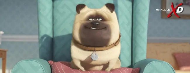 estrenos
