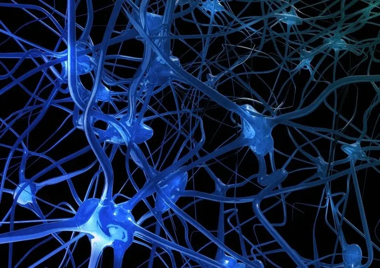 Neuronas