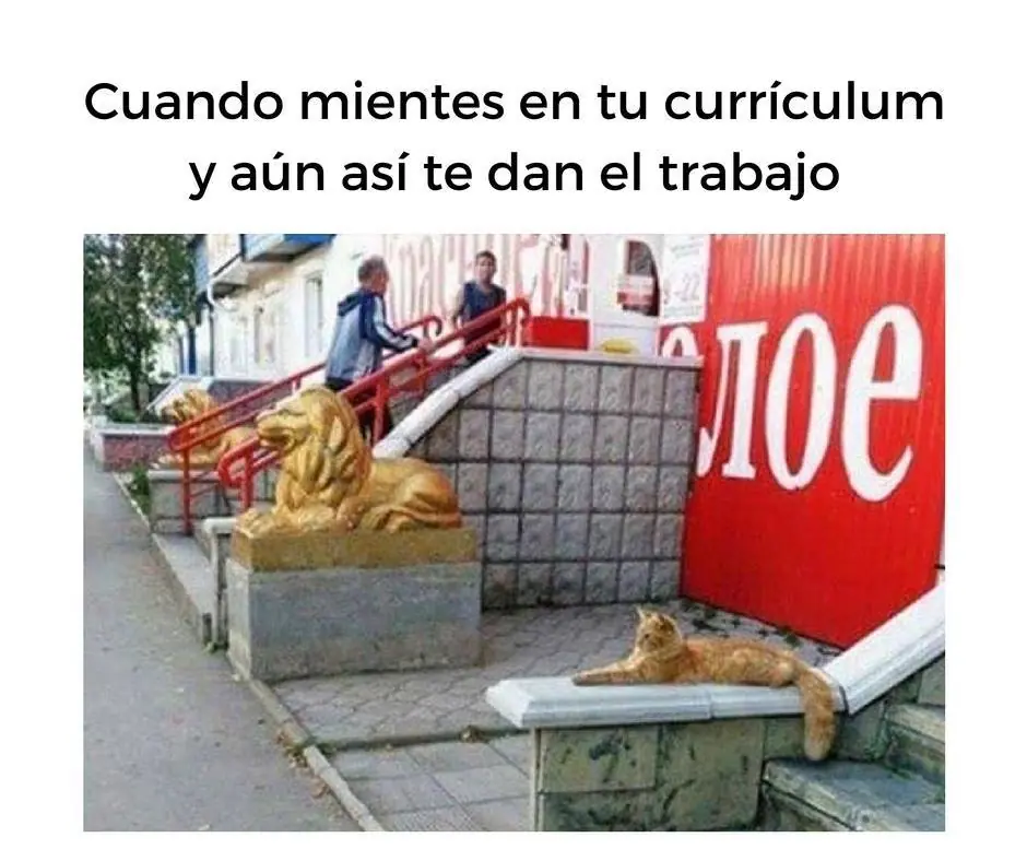 memes graciosos