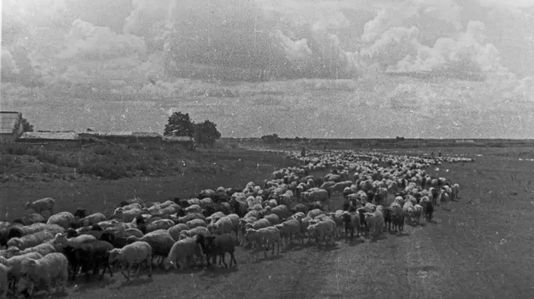 URSS