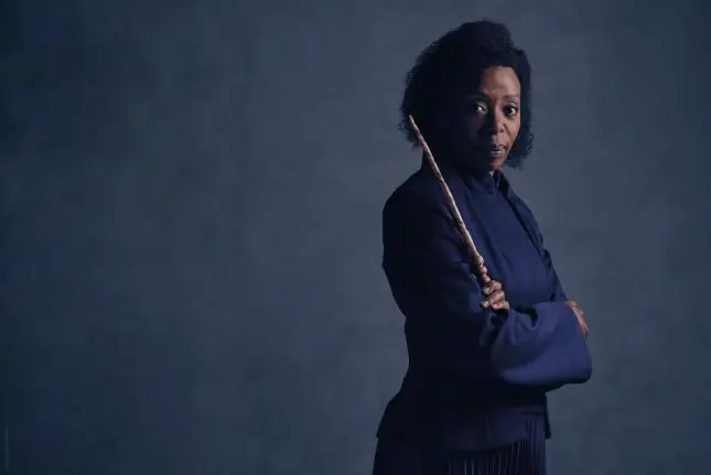 harry potter harry potter