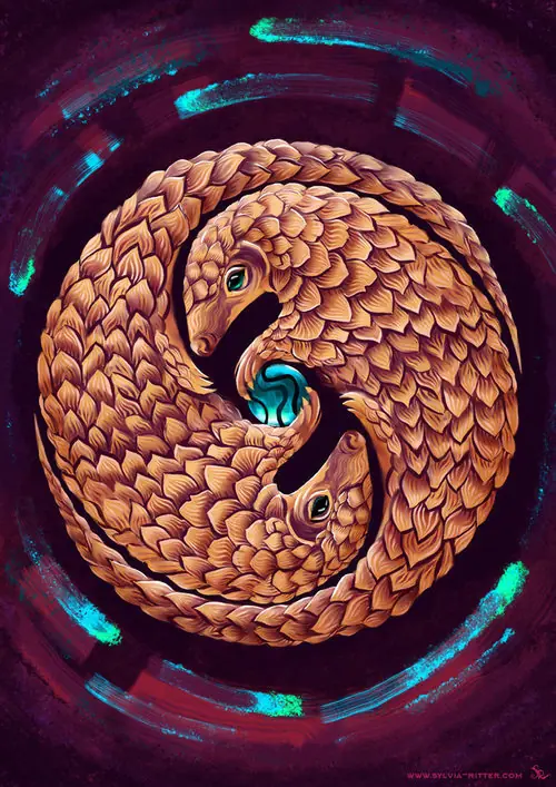 ilustraciones ilustraciones