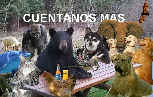 Y si repartieran lo que se robaron los K ? Cuanto nos toca?