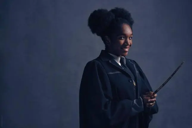 harry potter harry potter