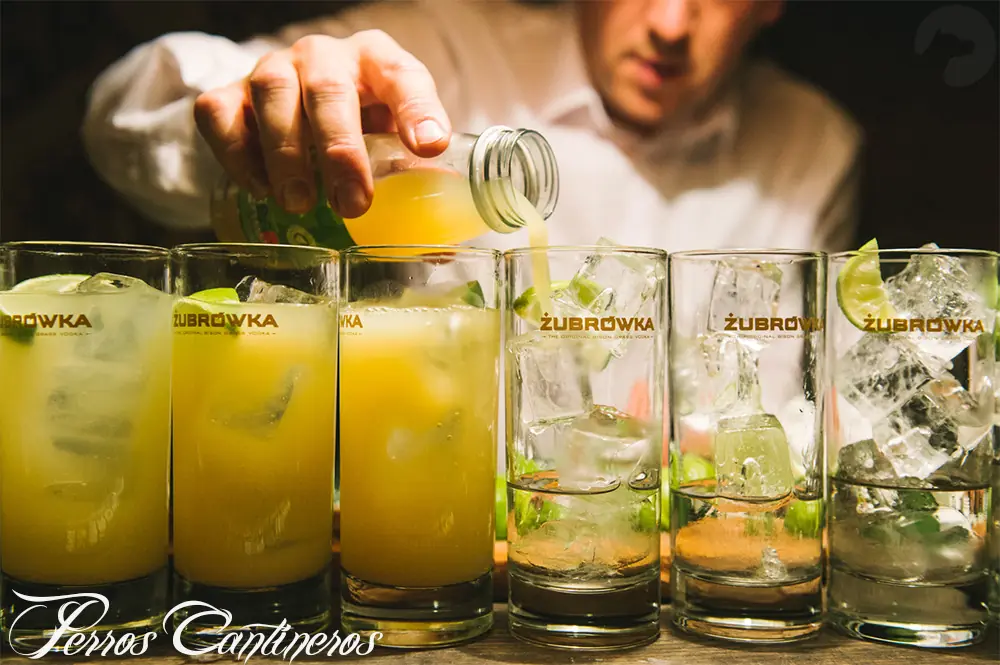 drink drink
