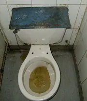 La estafa de las costas argentinas