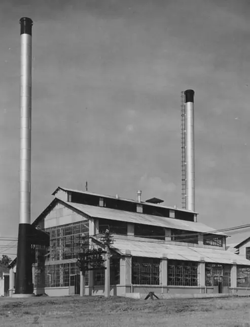 Fordlandia, El fracaso de Henry Ford
