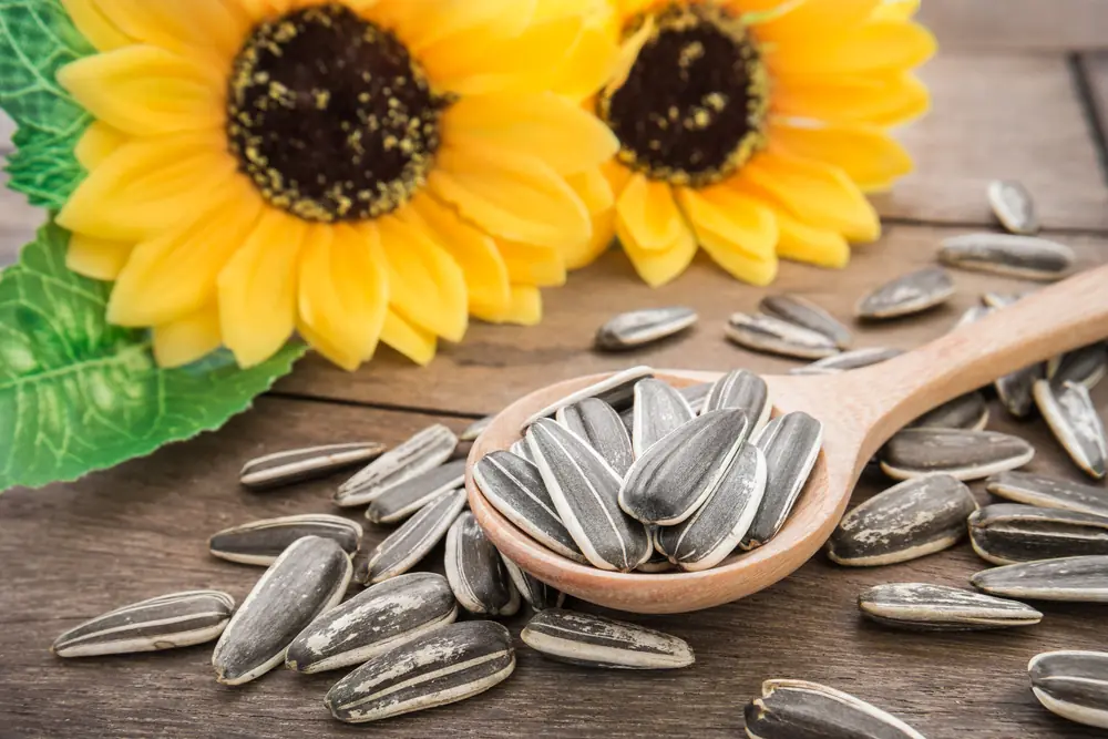 alimentos