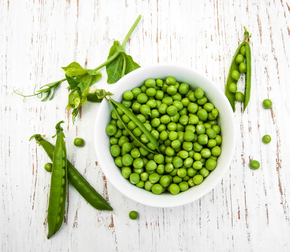 minerales