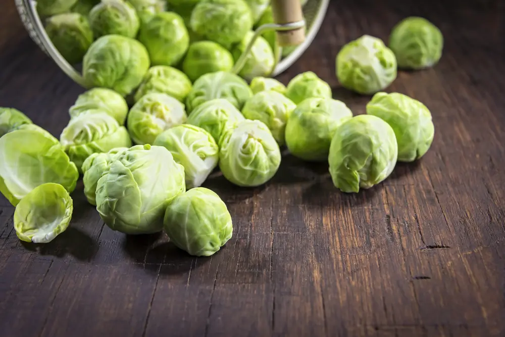 verduras