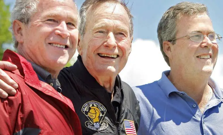 bush bush