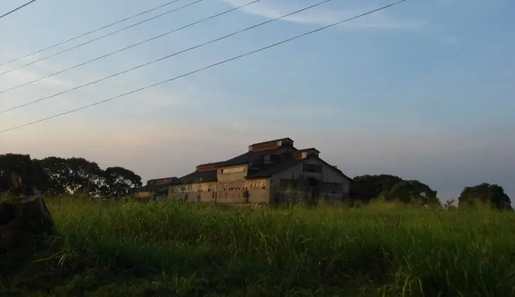 Fordlandia, El fracaso de Henry Ford