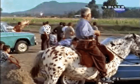 Orgullo argentino - Torino gifs