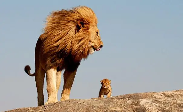padre e hijo