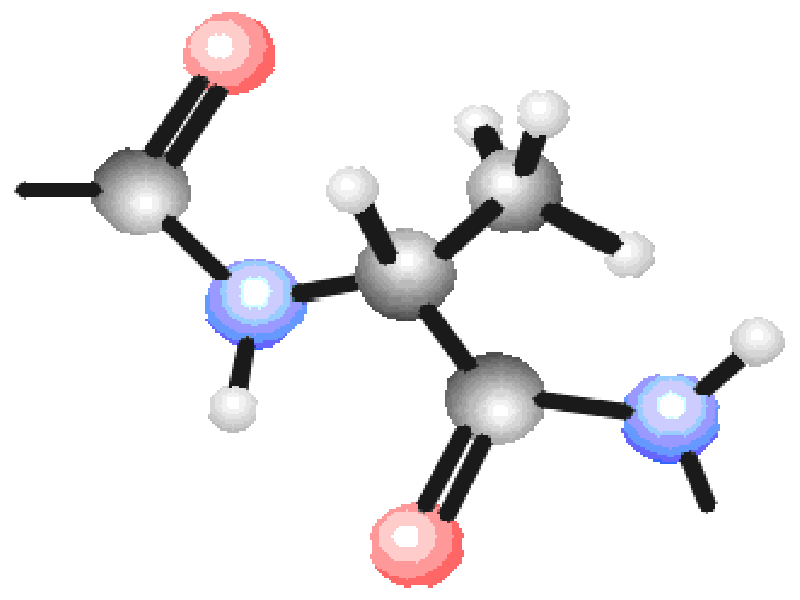 Proteína pudiera potenciar la regeneración neuronal