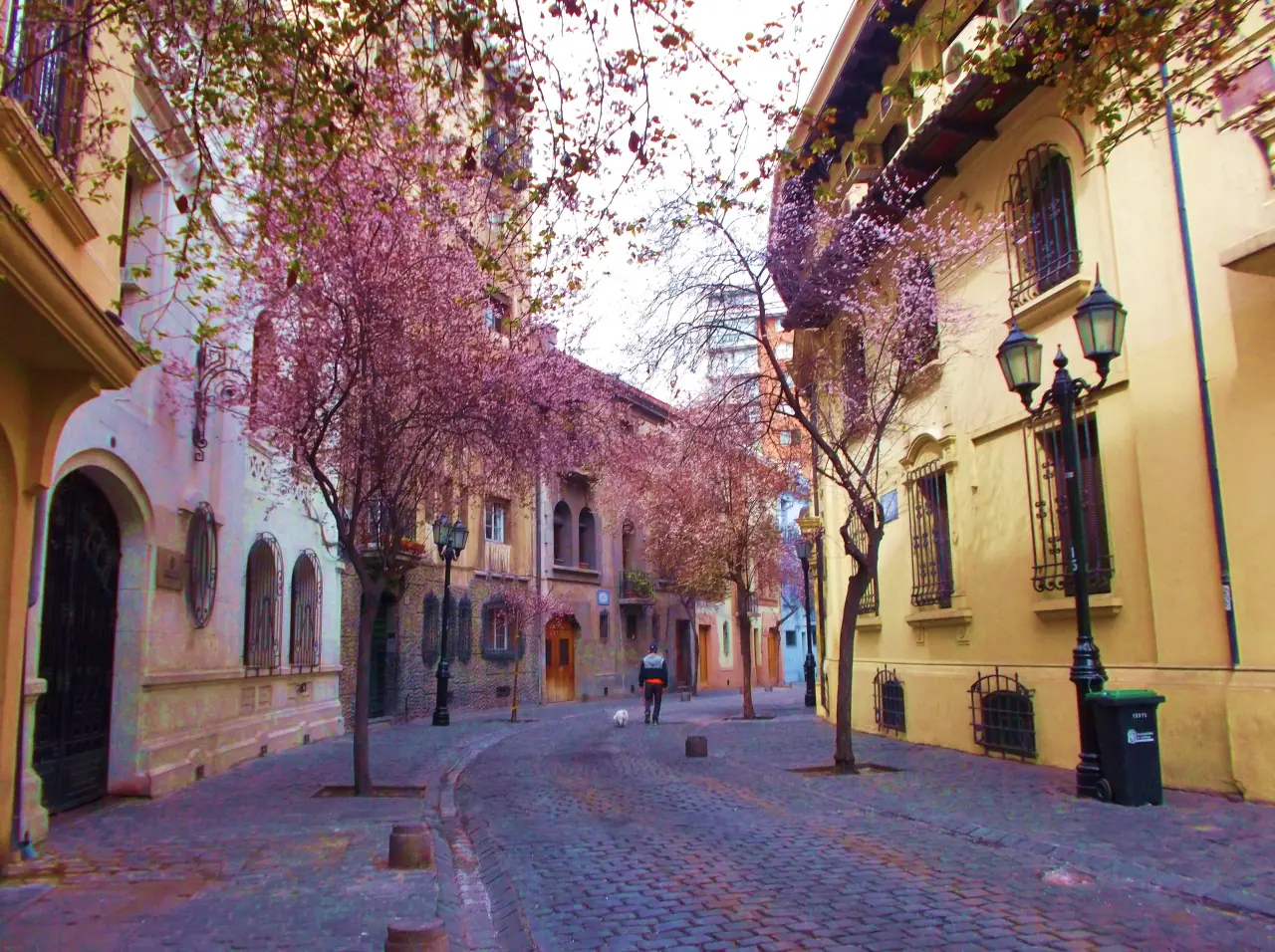 Barrios