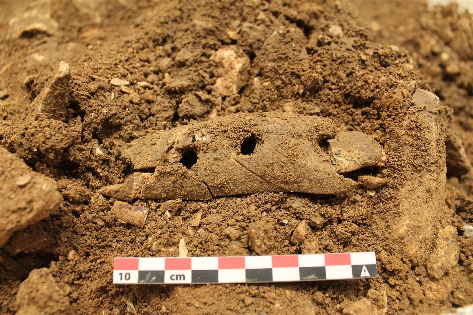 Como Fabricaban Cuerdas hace 40.000 años Como Fabricaban Cuerdas hace 40.000 años