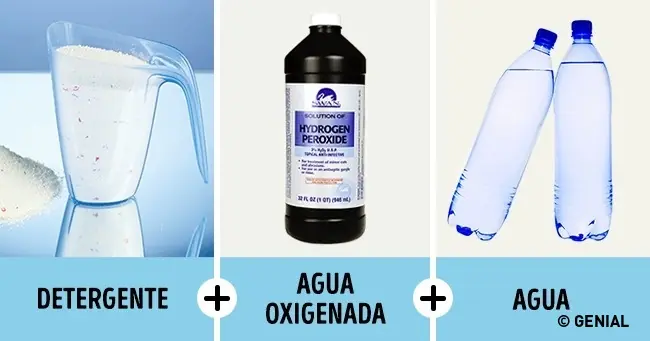 prenda