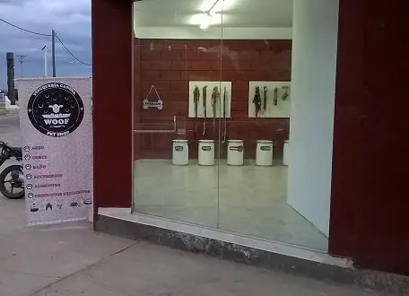 peluqueria canina
