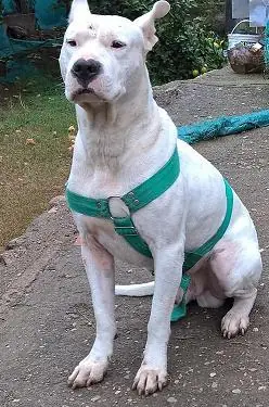 negocio propio