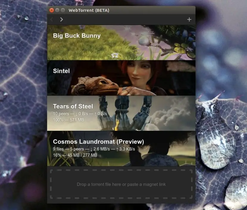 WebTorrent Desktop